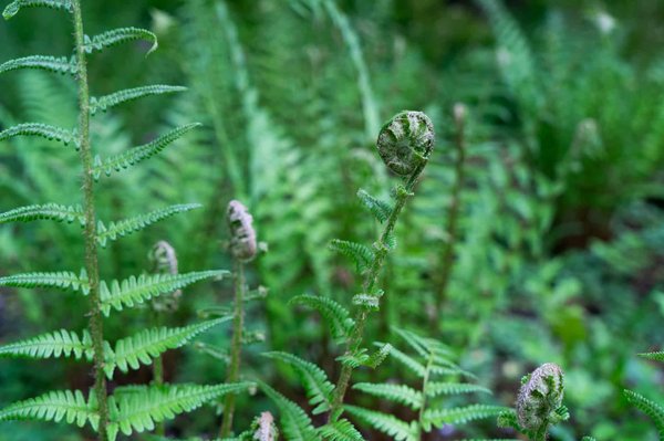 Comment organiser des vacances dans une ferme en Normandie avec des ateliers de fabrication de fromage et des visites de la région?